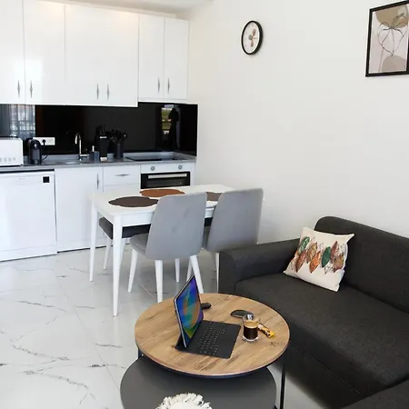 Art Life Boho * 阿拉尼亚