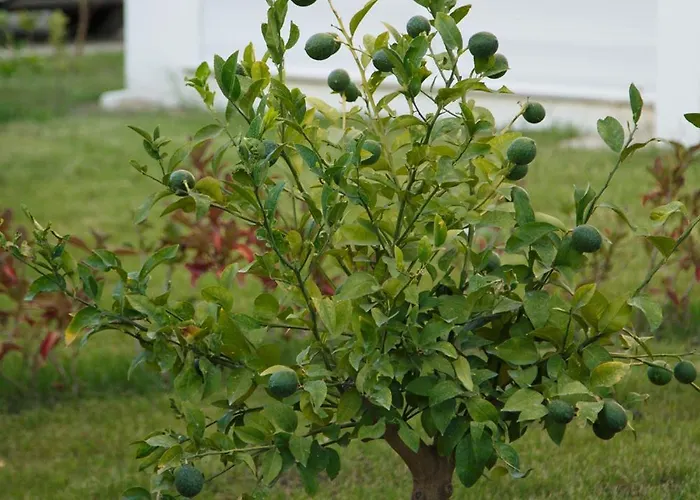 Art Life Boho Appartamento Alanya